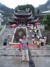 鸟飞翔的第1张照片