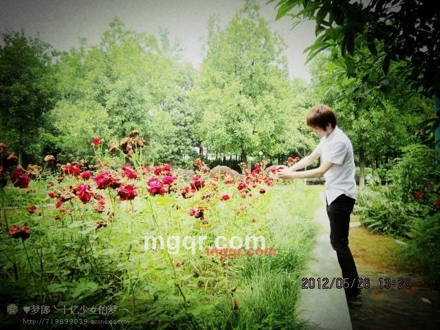 十亿少女的梦的第2张照片