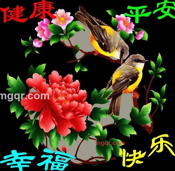 品尝梅仁的第3张照片