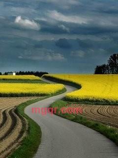 他陈的第1张照片