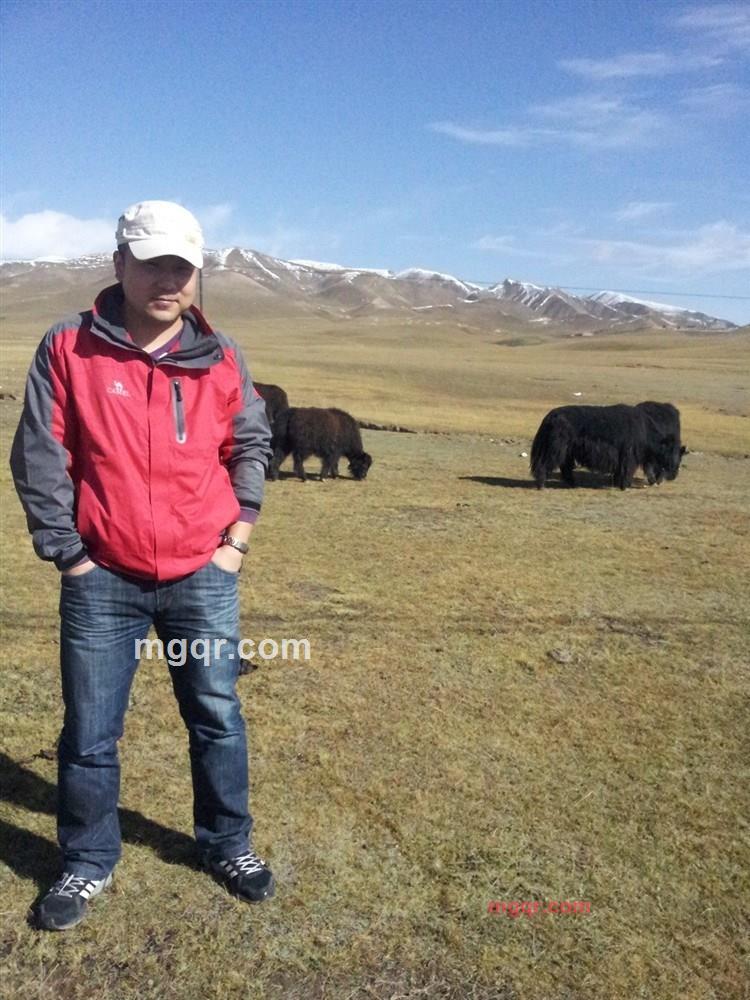 床头疯的第4张照片