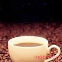 痴情种12的第1张照片