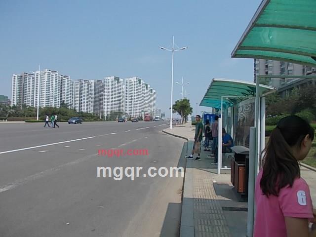 随风的第1张照片