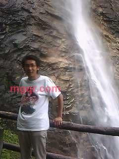 雨滴树的第1张照片