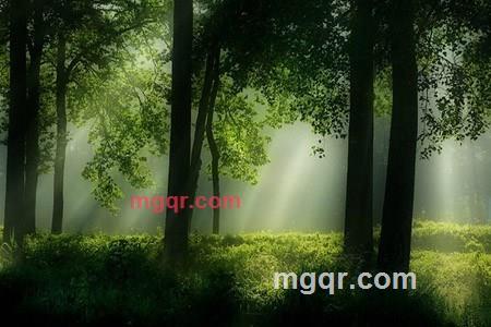 歇心亭的第6张照片