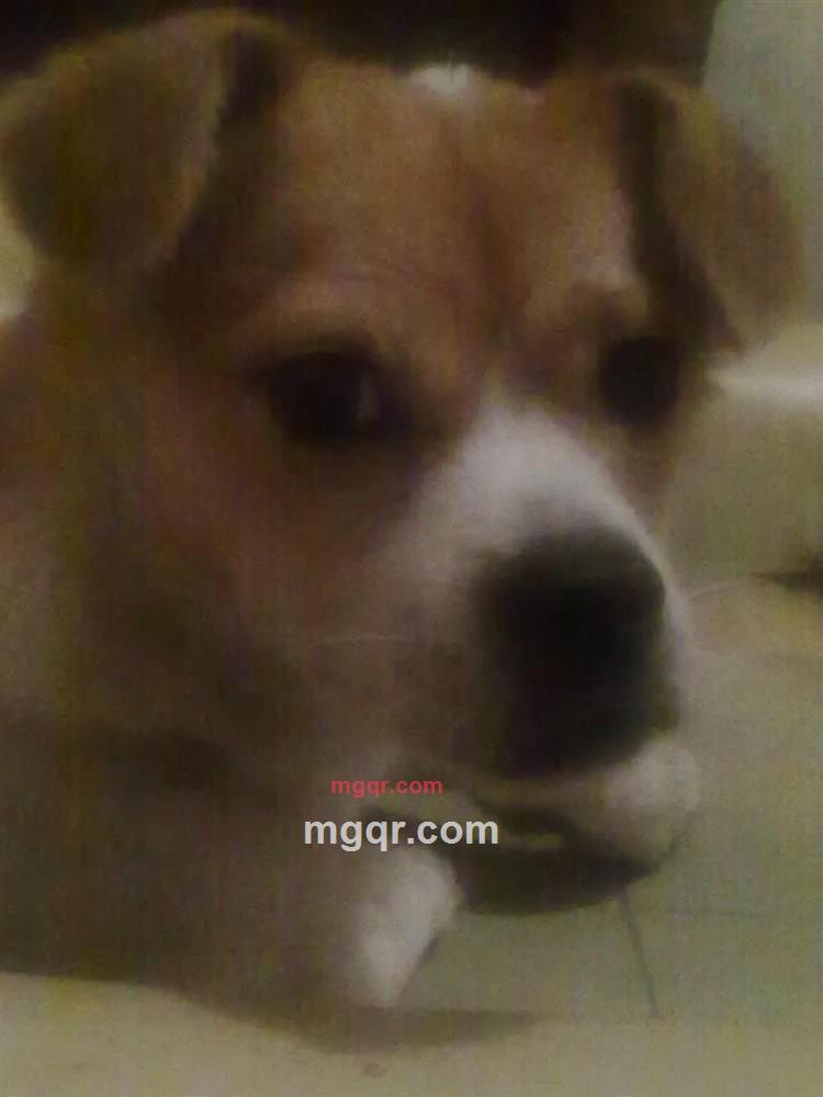 非常想你的第1张照片