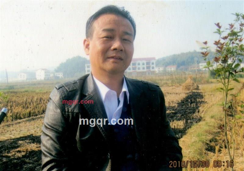 非洲水牛的第1张照片