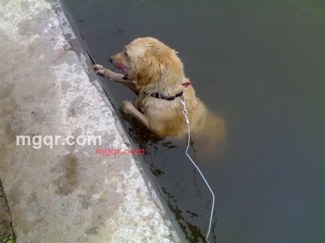 宝马740的第3张照片