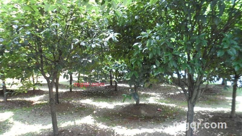 稠江男的第1张照片