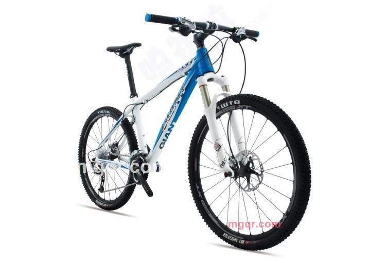 骑乐无穷的第2张照片