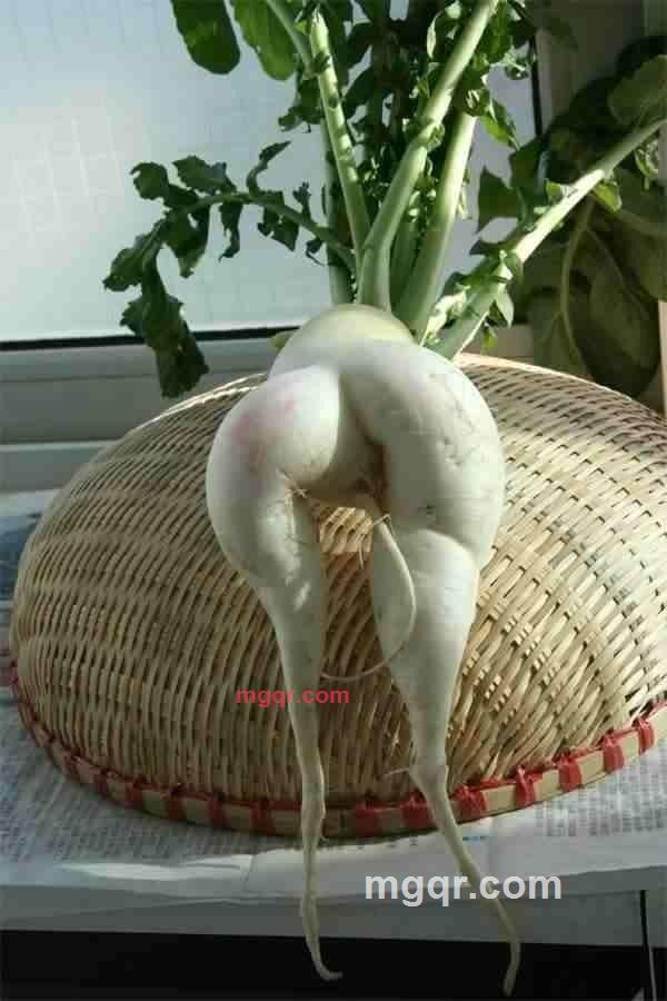 巨-无-霸的第2张照片