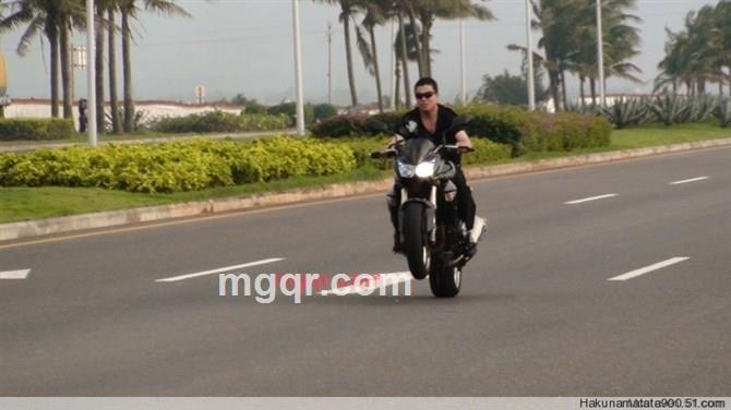 迷人肉球的第8张照片