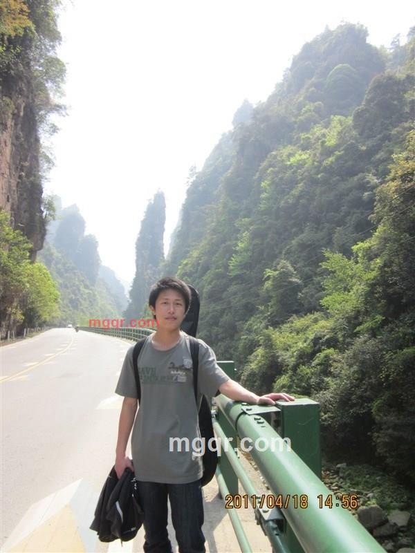 树之叹息的第1张照片