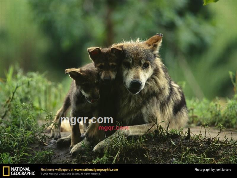 kkcc的第2张照片