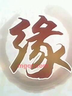 能者的第1张照片