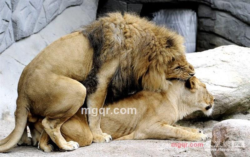 巫山云雨总关情的第1张照片