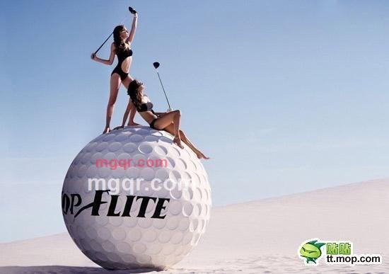 泥蛤蜊的第5张照片