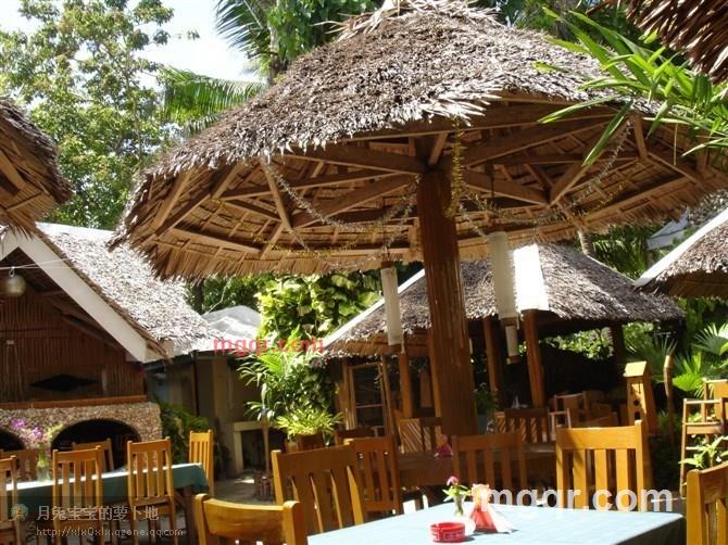 月影秋莎的第6张照片