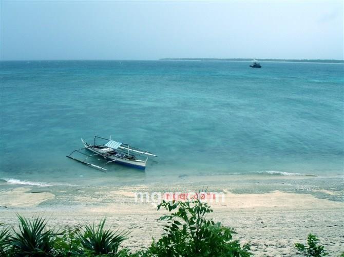 月影秋莎的第1张照片