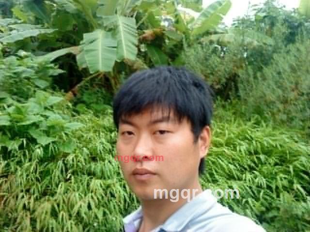 不做受伤的孤狼的第1张照片