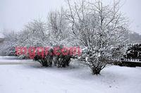 haoren7的第25张照片