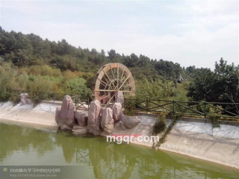 老男人情已殇的第7张照片