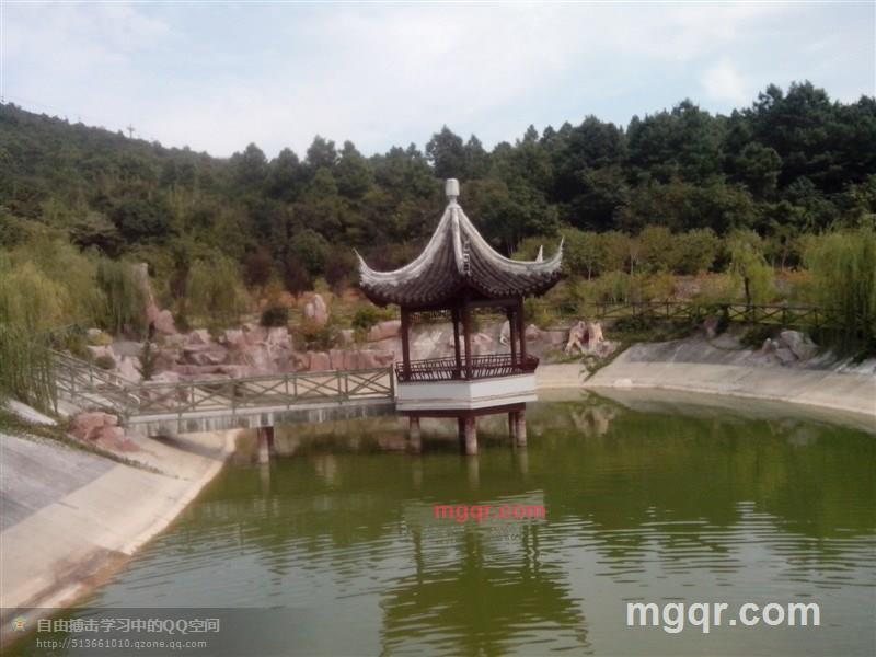 老男人情已殇的第8张照片