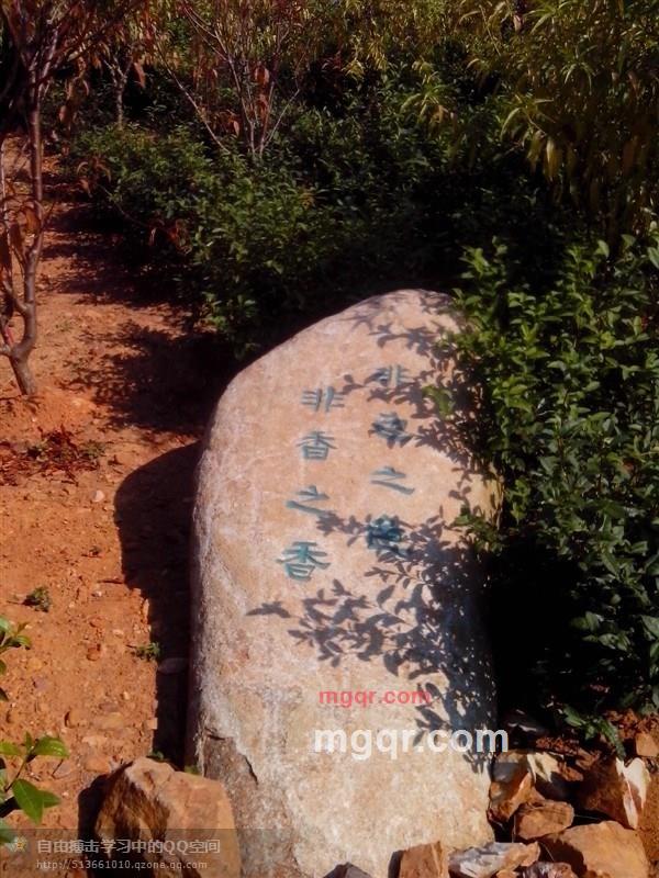 老男人情已殇的第3张照片