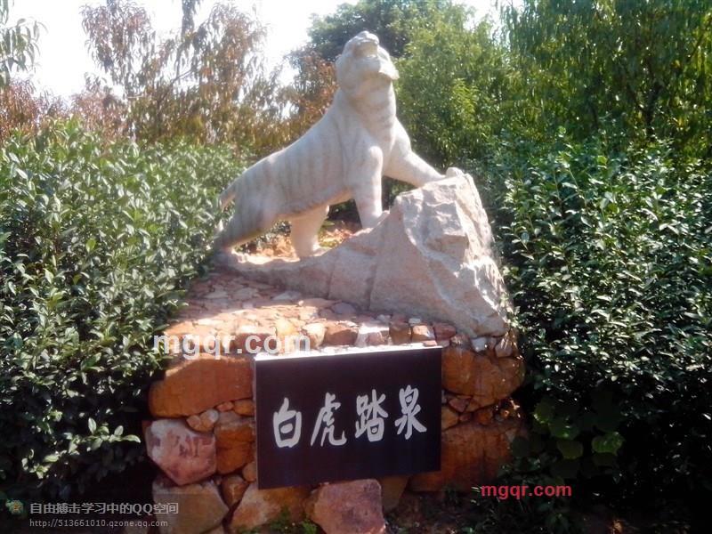 老男人情已殇的第5张照片