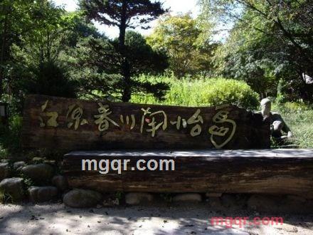 老男人情已殇的第50张照片