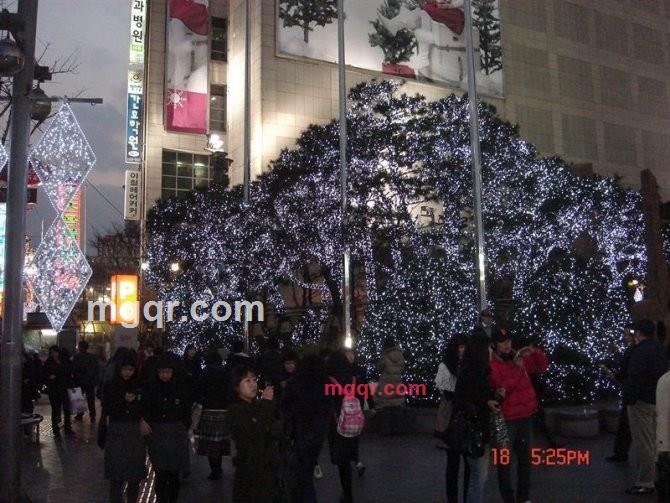 老男人情已殇的第49张照片