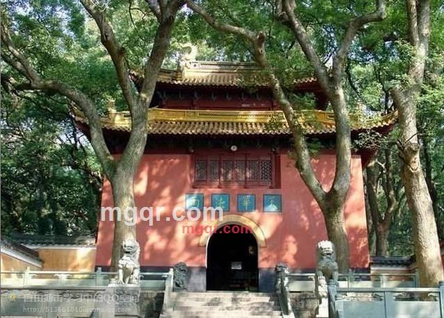 老男人情已殇的第38张照片