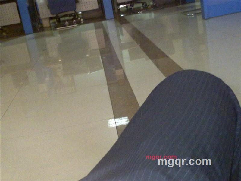 二茬韭菜的第3张照片