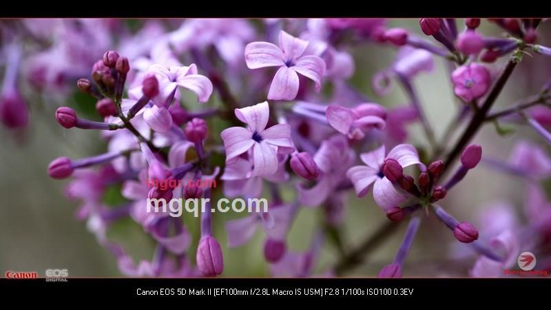 北方往事的第40张照片