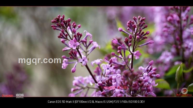 北方往事的第39张照片