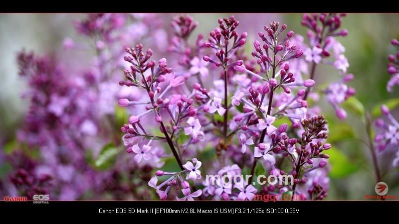 北方往事的第38张照片