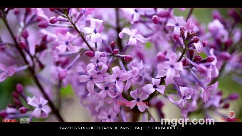 北方往事的第41张照片