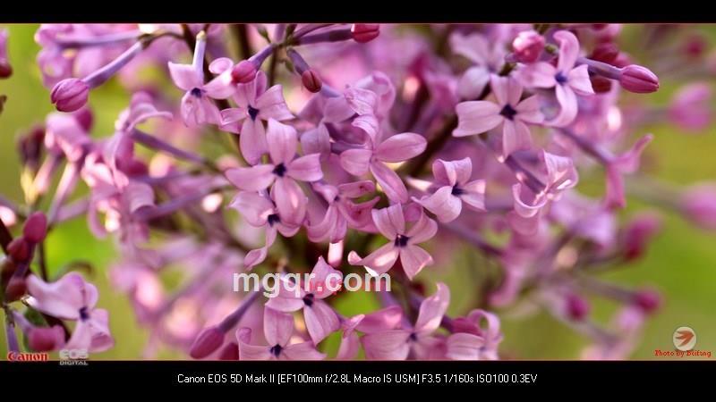 北方往事的第37张照片