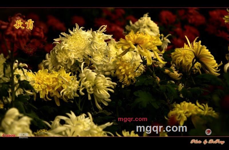 北方往事的第36张照片