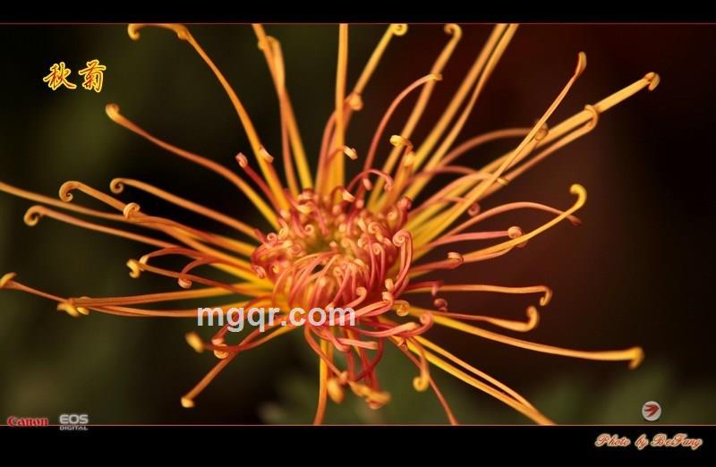 北方往事的第35张照片