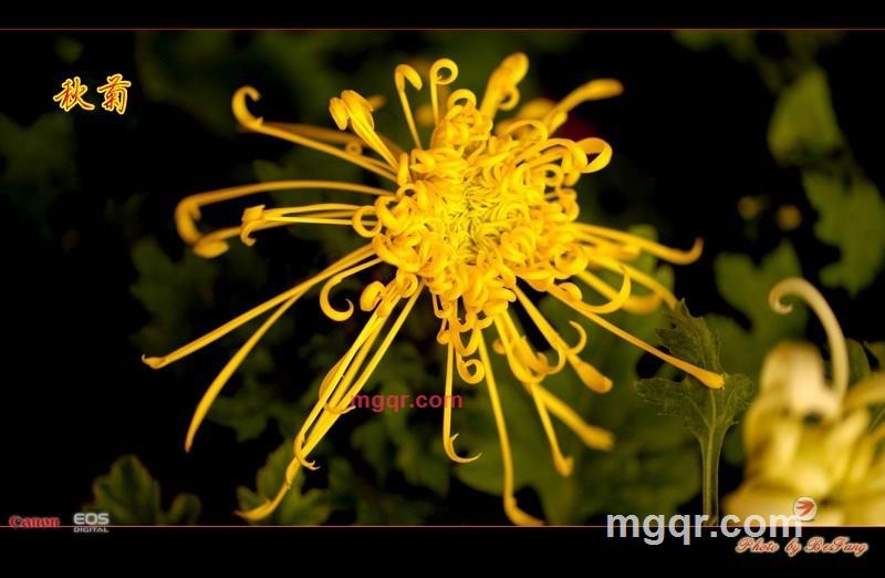 北方往事的第34张照片