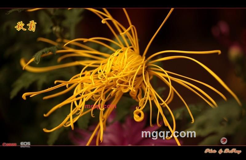 北方往事的第33张照片