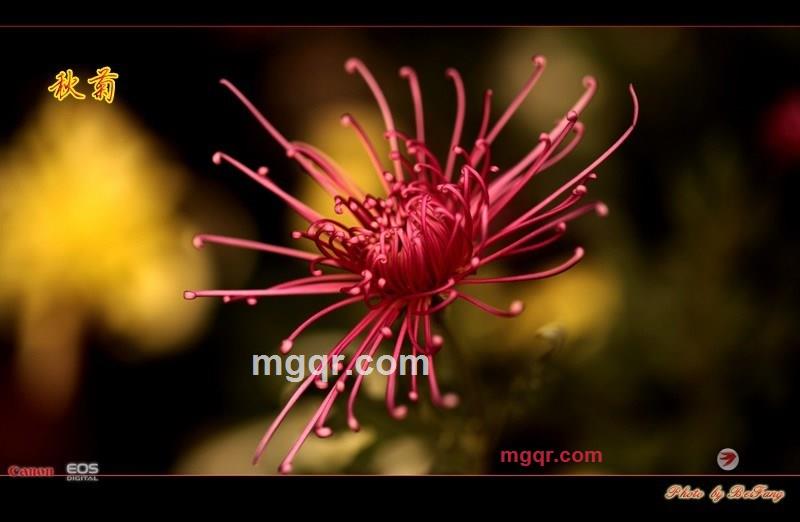 北方往事的第32张照片