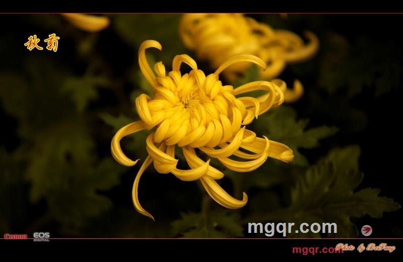 北方往事的第31张照片