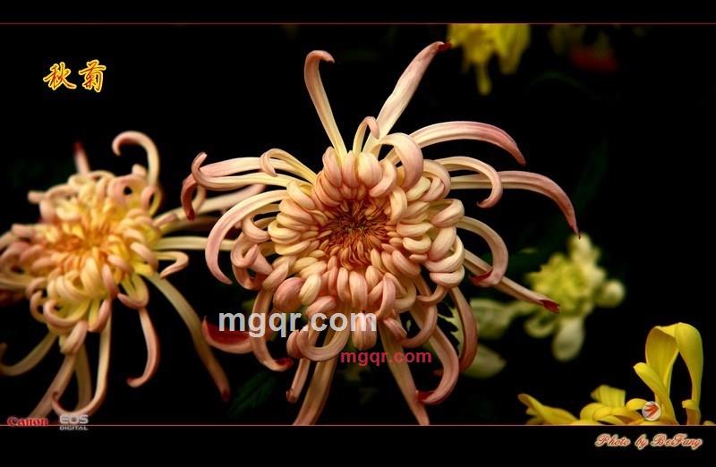 北方往事的第28张照片