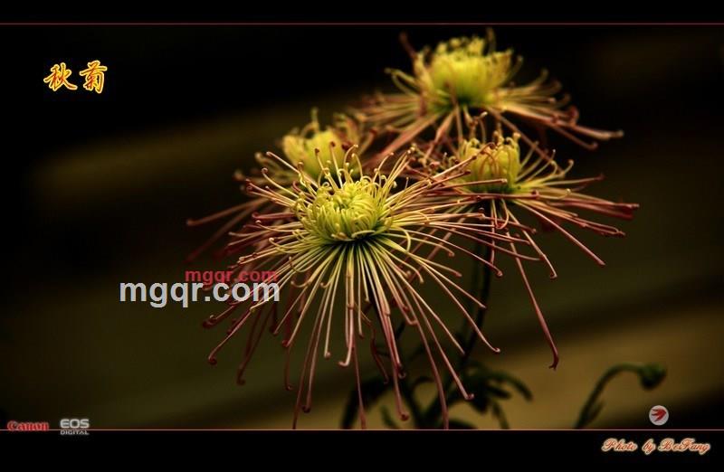 北方往事的第27张照片