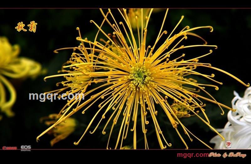 北方往事的第26张照片