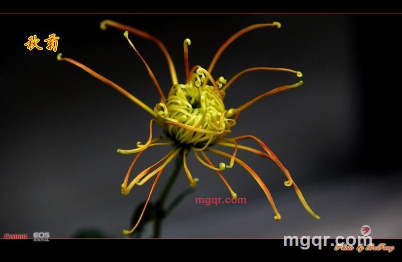 北方往事的第25张照片