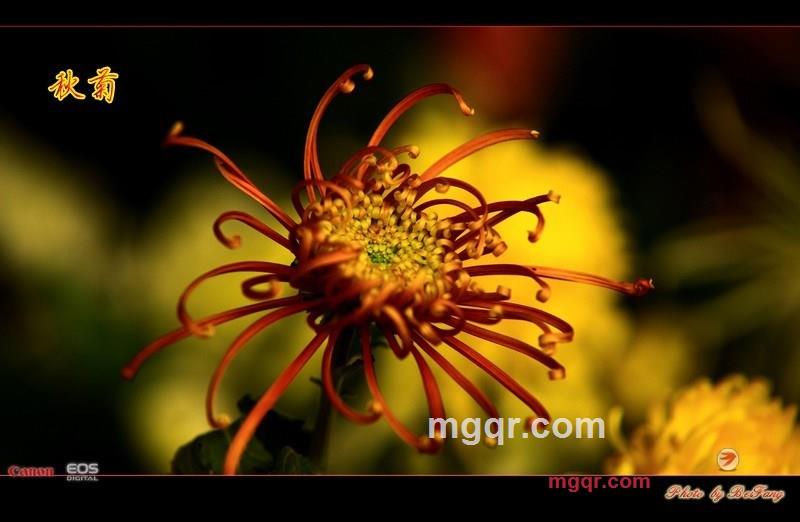 北方往事的第30张照片