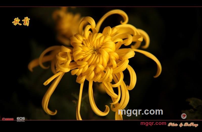 北方往事的第29张照片